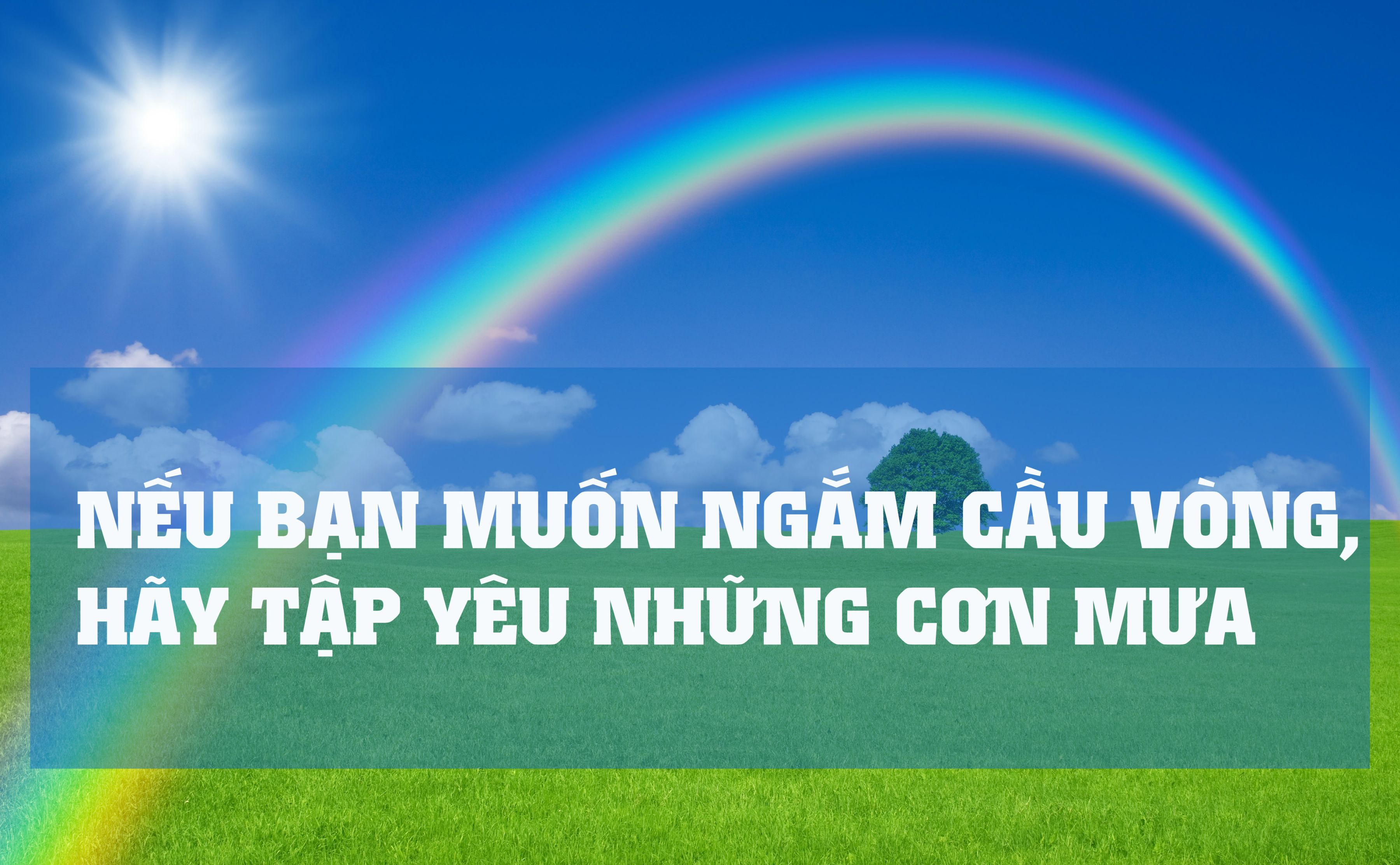 Suy ngẫm những câu nói hay và ý nghĩa về cuộc sống của người nổi tiếng 2