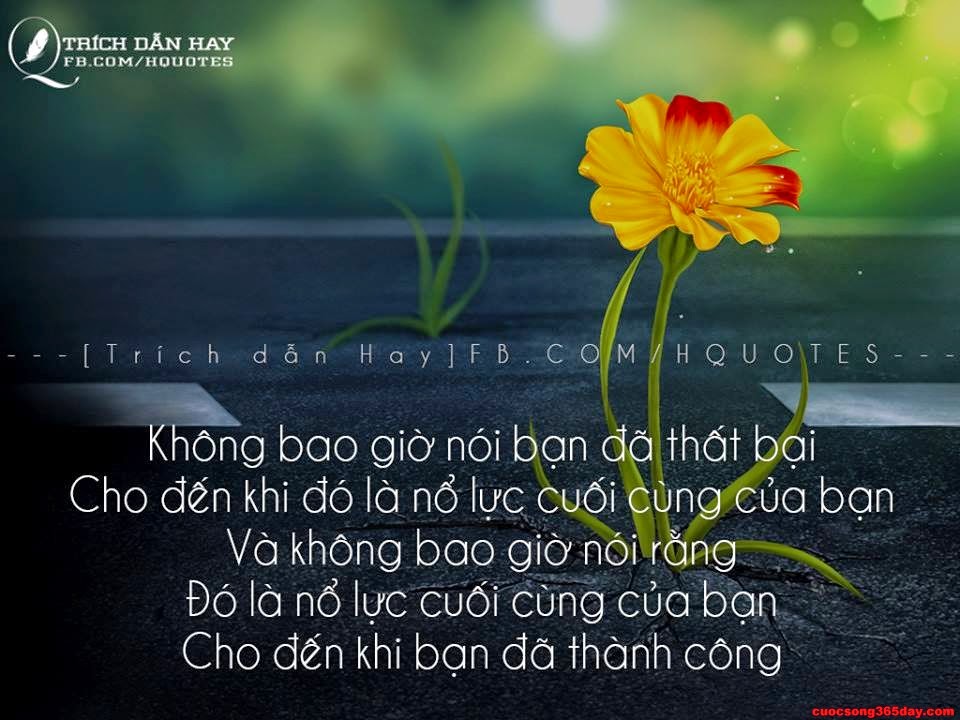 60 câu nói bất hủ hay nhất về ý nghĩa cuộc sống đầy tính nhân văn 4