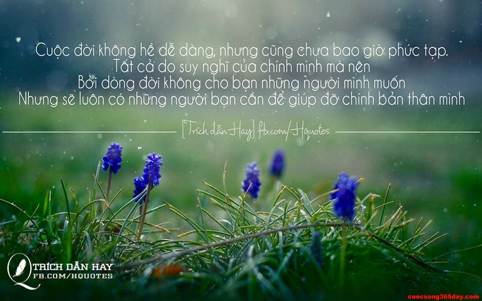 60 câu nói bất hủ hay nhất về ý nghĩa cuộc sống đầy tính nhân văn 5