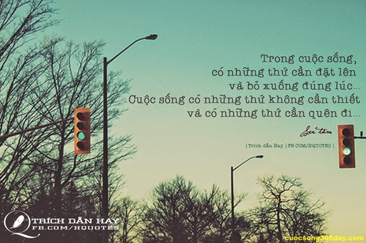 Những câu nói hay nhất về cuộc sống hằng ngày ý nghĩa cho mọi người 4