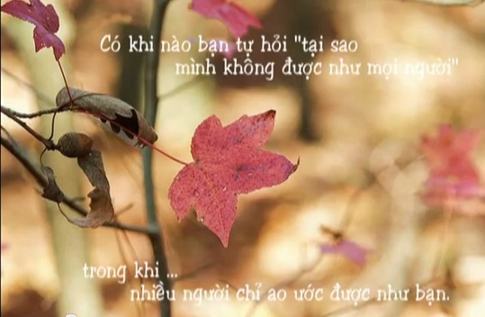 Những câu nói hay có ý nghĩa sâu sắc về cuộc sống bằng hình ảnh 0