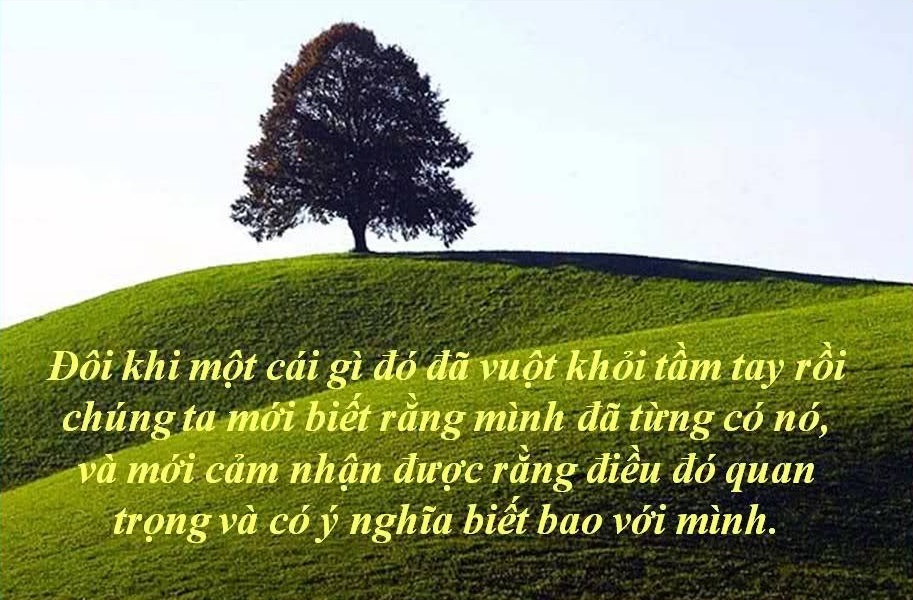 Những câu nói hay có ý nghĩa sâu sắc về cuộc sống bằng hình ảnh 6