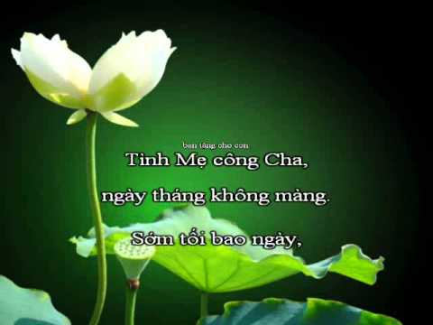 Những câu nói hay và ý nghĩa về cha mẹ thiêng liêng nhất cho tất cả mọi người 0