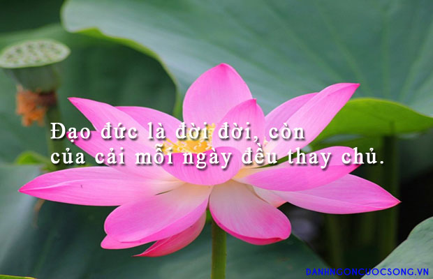 Những câu châm ngôn hay và triết lý về đạo đức của con người 2