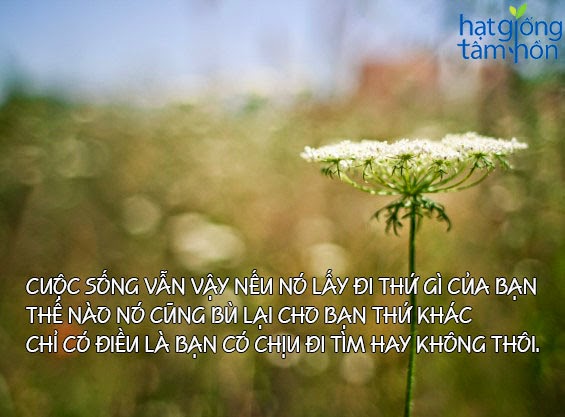 Những câu nói hay về niềm hạnh phúc ý nghĩa trong cuộc sống bằng hình ảnh 4