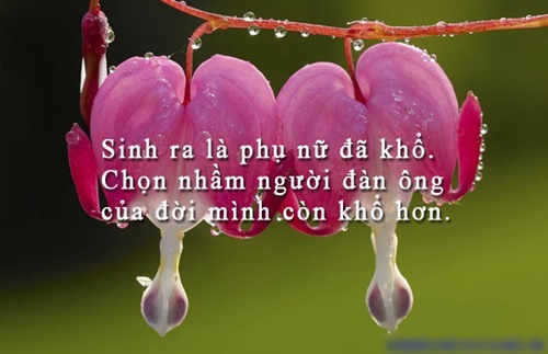 Những câu nói hay về phụ nữ hay ý nghĩa cảm động nhất từ trước tới nay 3