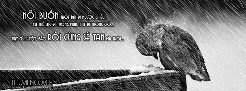 Những câu nói hay và ý nghĩa về mưa buồn tâm trạng cô đơn 3