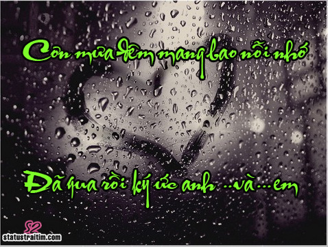 Những câu nói hay và ý nghĩa về mưa buồn tâm trạng cô đơn 9