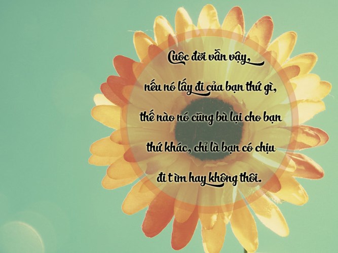 Hình ảnh những câu nói hay về cuộc sống ý nghĩa giúp bạn sống tốt hơn 11
