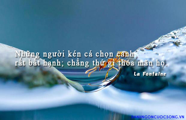Tổng hợp những danh ngôn có ý nghĩa sâu sắc về nhân cách con người 0