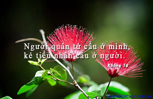 Tổng hợp những danh ngôn có ý nghĩa sâu sắc về nhân cách con người 1