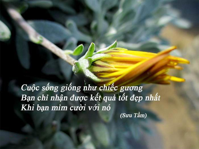 Tổng hợp những danh ngôn có ý nghĩa sâu sắc về nhân cách con người 2