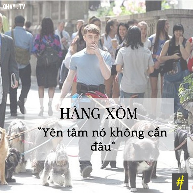 Những câu nói dối mà bạn vẫn luôn tin là đúng 2