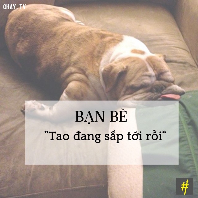 Những câu nói dối mà bạn vẫn luôn tin là đúng 3