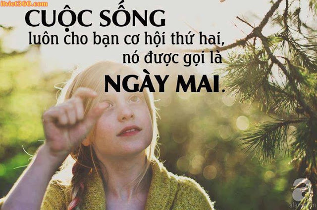 Những câu nói bất hủ về cuộc sống của người nổi tiếng mà nhất định bạn phải khắc cốt ghi tâm 3