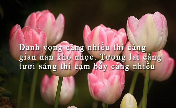 Những câu nói hay nhất về tầm quan trọng của tri thức giúp bạn tỉnh ngộ bằng tiếng anh 3