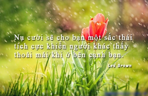 Những câu nói hay về nụ cười buồn vui ý nghĩa nhất trong cuộc sống 2