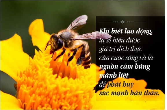 10 lời khuyên hữu ích phải biết nếu muốn thành công cực ý nghĩa 4