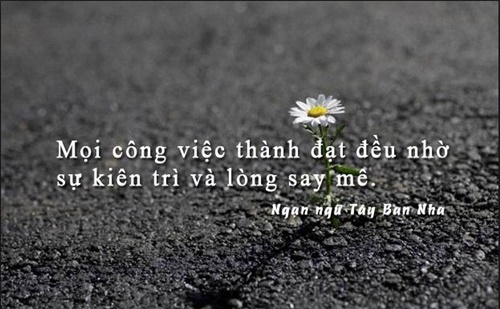 Những câu nói hay về công việc ý nghĩa nhất giúp các bạn thành công hơn trong cuộc sống 1