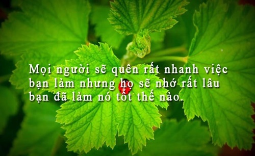 Những câu nói hay về công việc ý nghĩa nhất giúp các bạn thành công hơn trong cuộc sống 3