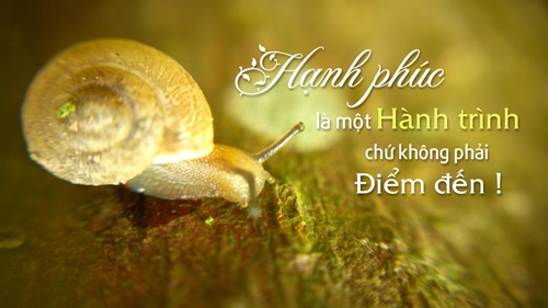Những câu nói hay về cuộc sống bạn cần để tâm để luôn cảm thấy hạnh phúc 0