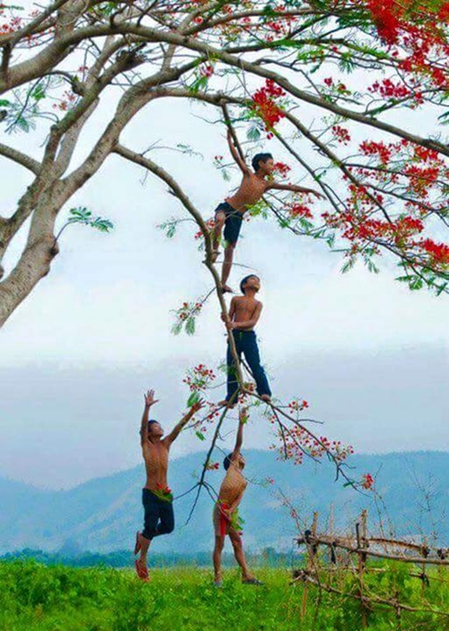 Hình ảnh đẹp cho tôi xin một vé đi tuổi thơ đầy cảm động 15