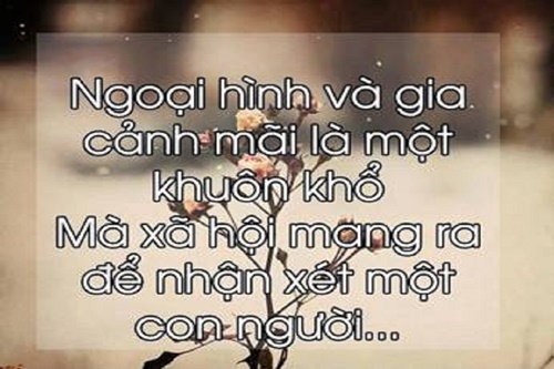 Những câu nói hay về cuộc sống ý nghĩa nhất ai cũng phải nhớ nếu muốn thành công 0