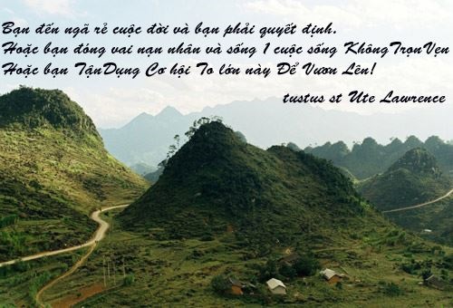 Những câu nói hay về cuộc sống mà trường học không dạy bạn 2