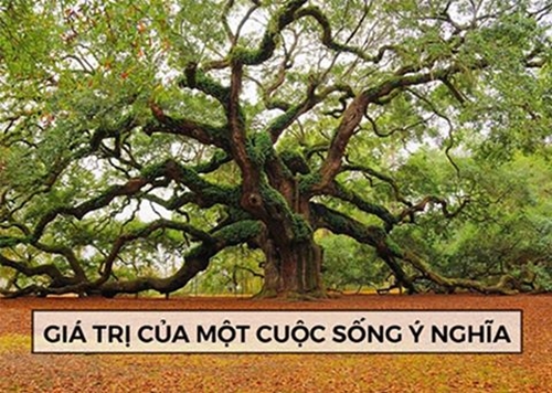 Giá trị cuộc sống là gì mà bạn trân trọng – Những điều không nên làm trong cuộc sống 1