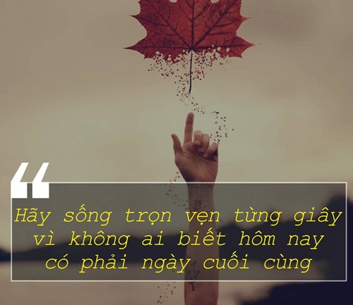 Những câu nói hay ý nghĩa giúp bạn hạnh phúc hơn trong cuộc sống 1