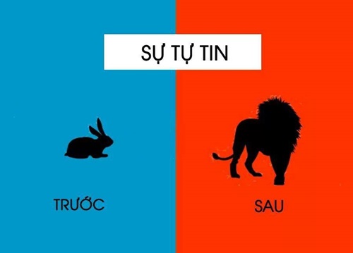 Những câu nói hay về công việc với tầm nhìn khác biệt trước và sau khi thành công 2