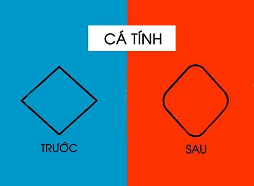 Những câu nói hay về công việc với tầm nhìn khác biệt trước và sau khi thành công 11