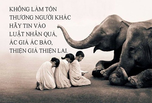 Những câu nói hay về cuộc sống ý nghĩa mà bạn nhất định phải nhớ