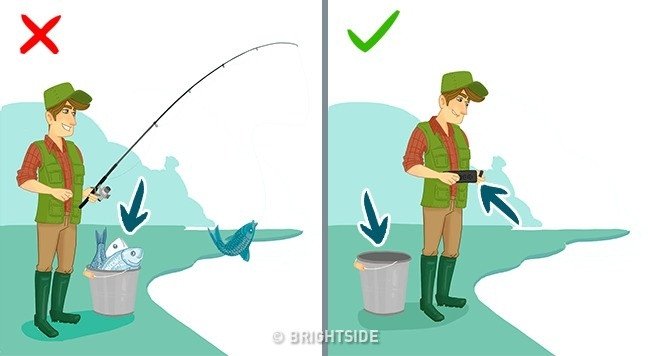 Mẹo đơn giản giúp bạn dễ nhận biết cá tươi, ngon
2