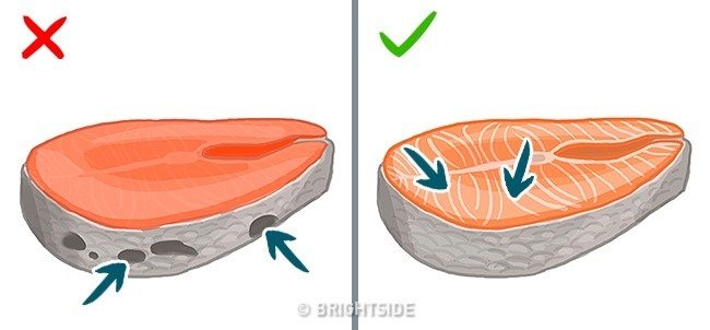 Mẹo đơn giản giúp bạn dễ nhận biết cá tươi, ngon
3