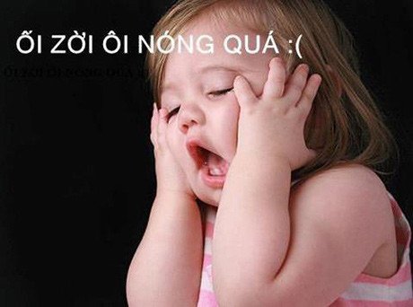 Khổ sở vì đợt nắng nóng kỷ lục, cư dân mạng giải tỏa với những bức ảnh chế
0