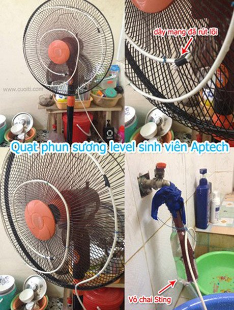 Khổ sở vì đợt nắng nóng kỷ lục, cư dân mạng giải tỏa với những bức ảnh chế
8