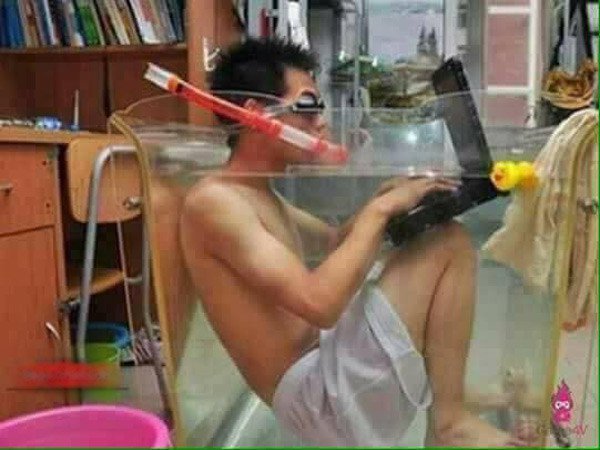Khổ sở vì đợt nắng nóng kỷ lục, cư dân mạng giải tỏa với những bức ảnh chế
18