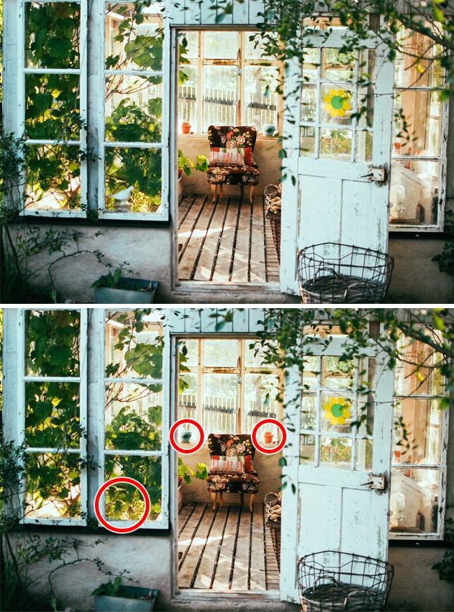 Chỉ có bậc kỳ tài mới tìm ra tất cả sự khác biệt trong 16 bức ảnh này!
20