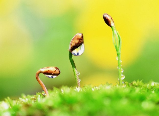 May mắn không ngẫu nhiên mà có, mà là do quá trình luyện tập
2