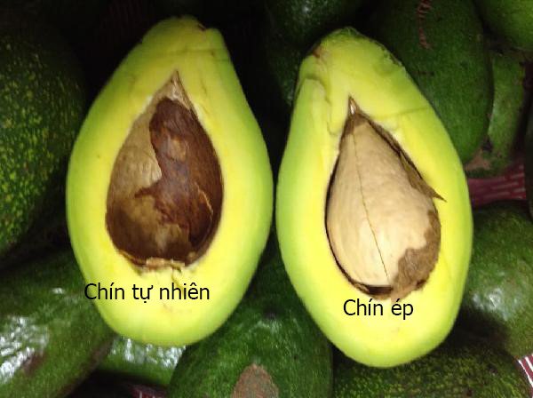 Kinh nghiệm chọn bơ ngon không ngâm hóa chất
3