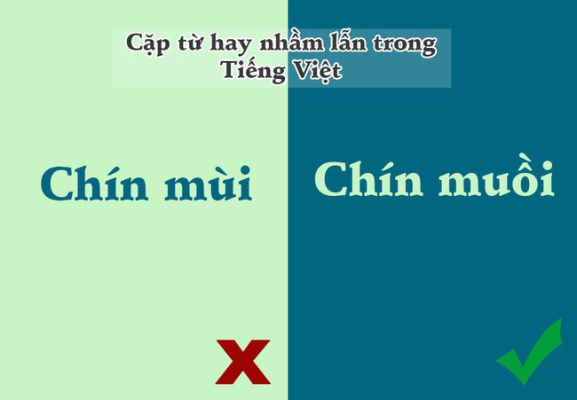 10 cặp từ trong tiếng Việt dễ khiến chúng ta nhầm lẫn nhất
3