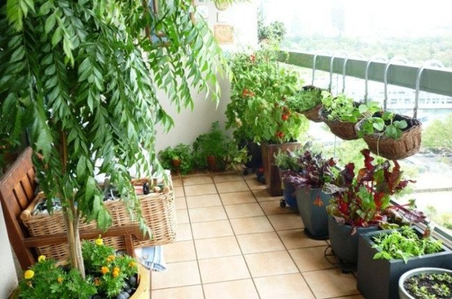 20 mẹo làm vườn hữu ích không phải ai cũng biết
1