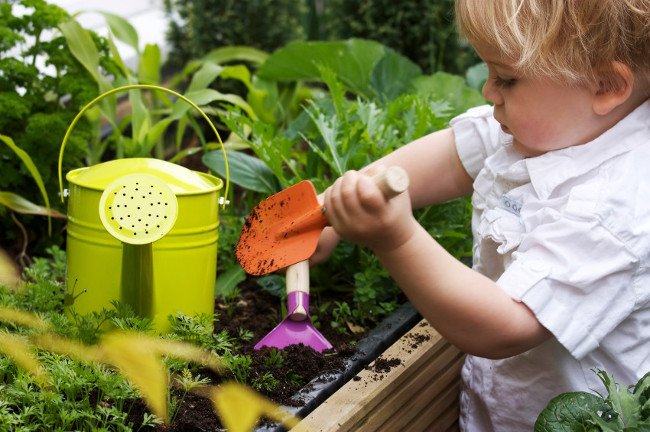 20 mẹo làm vườn hữu ích không phải ai cũng biết
5