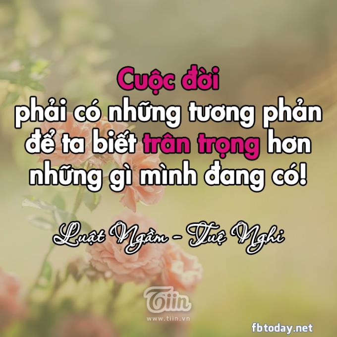 Những Câu Nói Hay Khiến Bạn Cảm Thấy Cuộc Sống Thú Vị Hơn 4