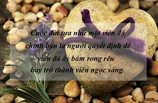 Những Câu Nói Hay Khiến Bạn Cảm Thấy Cuộc Sống Thú Vị Hơn 7