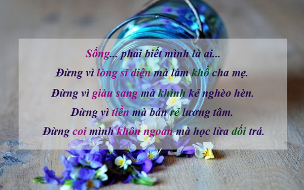 Những Câu Nói Hay Khiến Bạn Cảm Thấy Cuộc Sống Thú Vị Hơn 8