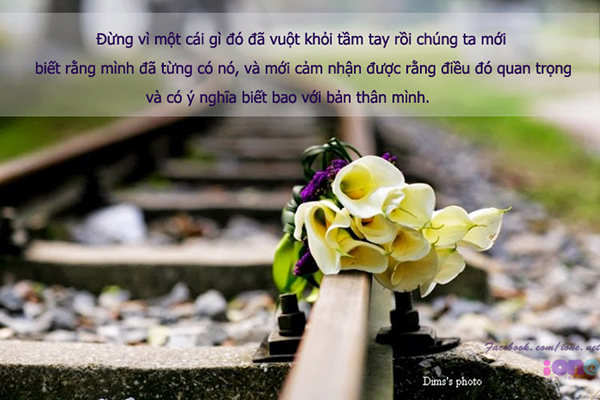 Những Câu Nói Hay Khiến Bạn Cảm Thấy Cuộc Sống Thú Vị Hơn 9