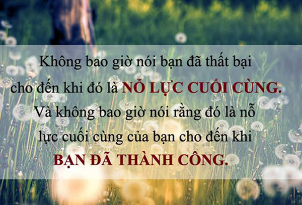 Những Câu Nói Hay Khiến Bạn Cảm Thấy Cuộc Sống Thú Vị Hơn 10