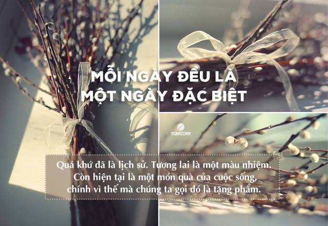 Những Câu Nói Hay Khiến Bạn Cảm Thấy Cuộc Sống Thú Vị Hơn 11